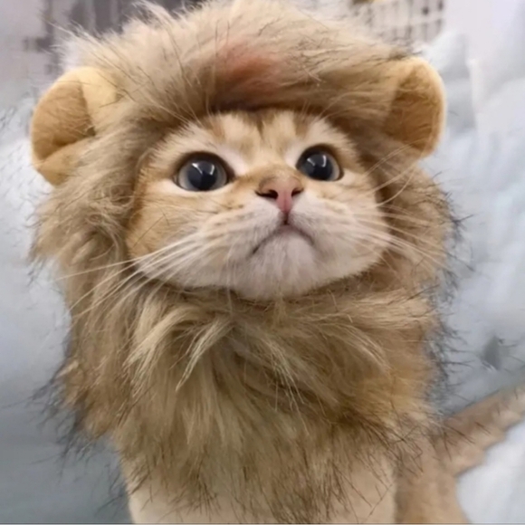 Other - Truukingz Rawr 🦁